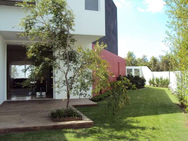 imagen 6